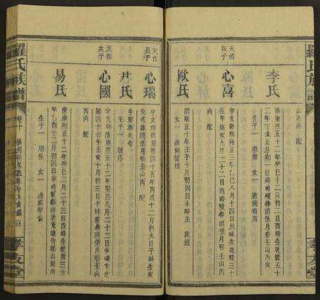 湖南罗氏族谱-罗氏族谱[19卷].pdf电子版预览图4