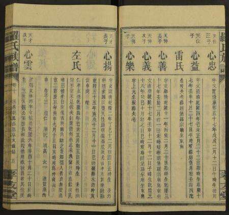 湖南罗氏族谱-罗氏族谱[19卷].pdf电子版预览图5