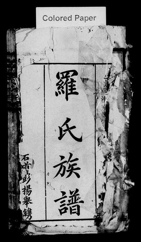 湖南罗氏族谱-黄山罗氏九修族谱 [卷数不详].pdf电子版预览图2