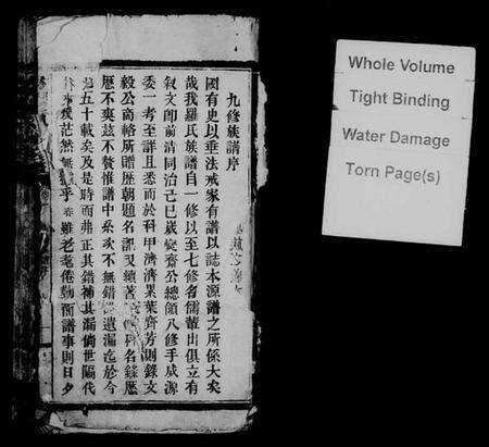 湖南罗氏族谱-黄山罗氏九修族谱 [卷数不详].pdf电子版预览图3