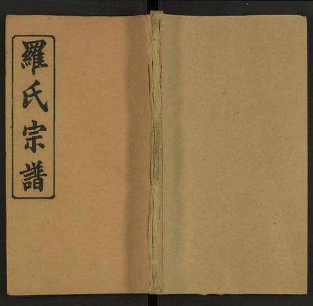 湖南罗氏族谱-义口罗氏宗谱 [残卷].pdf电子版缩略图