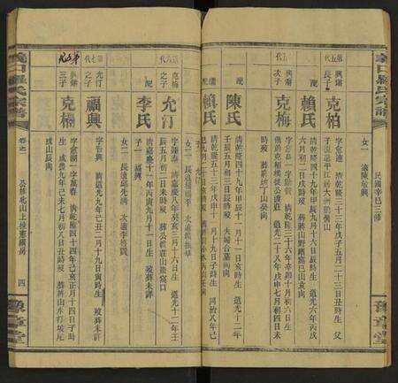 湖南罗氏族谱-义口罗氏宗谱 [残卷].pdf电子版预览图4