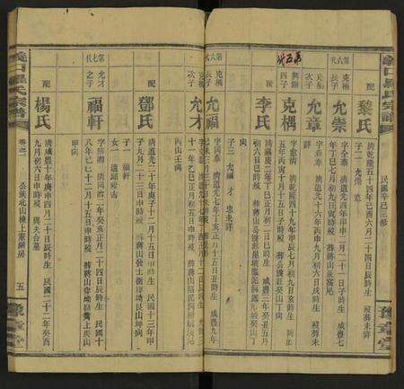 湖南罗氏族谱-义口罗氏宗谱 [残卷].pdf电子版预览图5