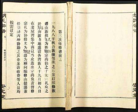 湖北胡氏族谱-胡氏宗谱.pdf电子版缩略图