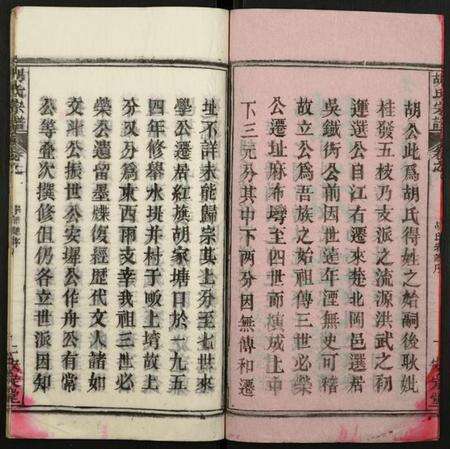 湖北胡氏族谱-胡氏宗谱.pdf电子版预览图2