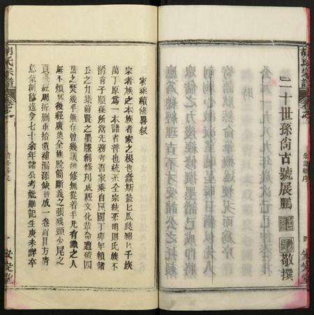 湖北胡氏族谱-胡氏宗谱.pdf电子版预览图5