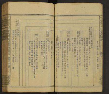 湖南罗氏族谱-甘棠罗氏六修族谱[残卷].pdf电子版预览图5