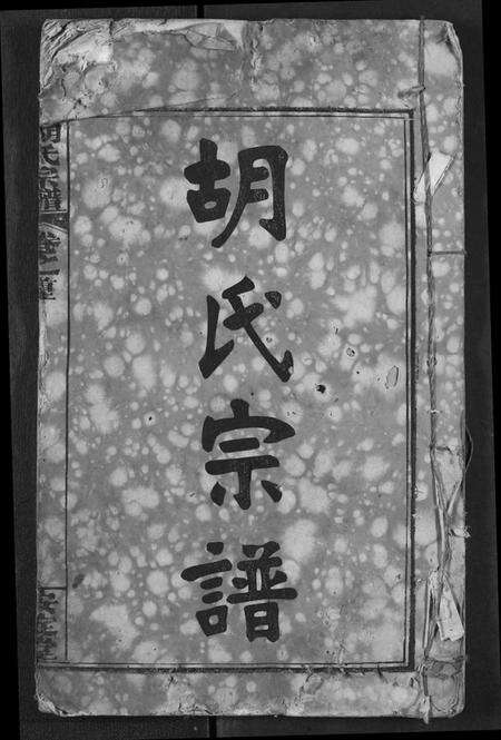 湖北胡氏族谱-胡氏宗谱.pdf电子版缩略图