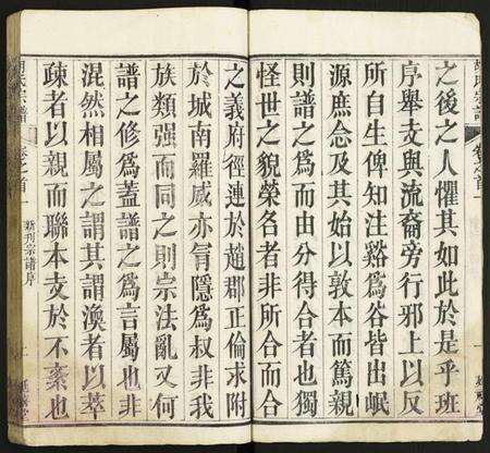 湖北胡氏族谱-胡氏宗谱.pdf电子版预览图5