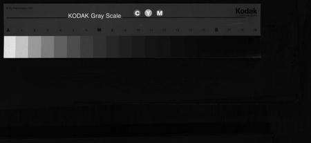 浙江潘氏族谱-荥阳郡泰石潘氏宗谱 [不分卷].pdf电子版缩略图