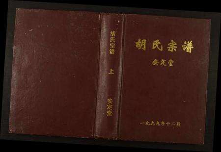 湖北胡氏族谱-胡氏宗谱.pdf电子版缩略图