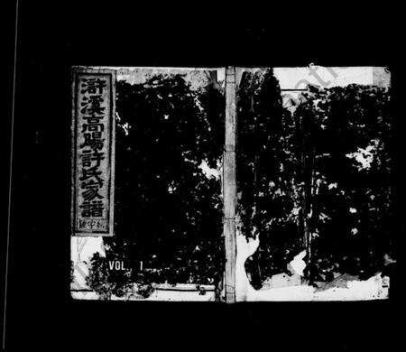 浙江许氏族谱-浒溪高阳许氏家谱 [4卷].pdf电子版预览图1