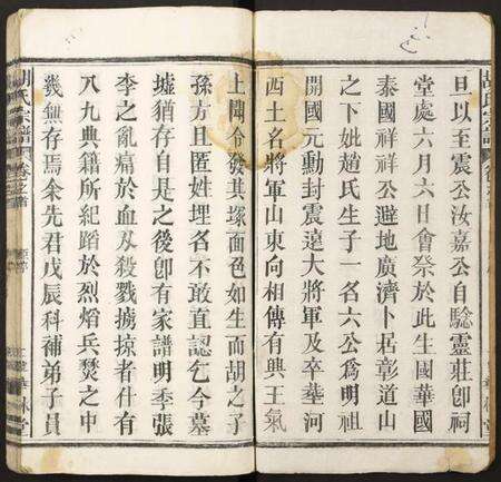 湖北胡氏族谱-胡氏宗谱.pdf电子版预览图2