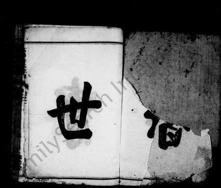 浙江许氏族谱-浒溪高阳许氏家谱 [4卷].pdf电子版预览图5