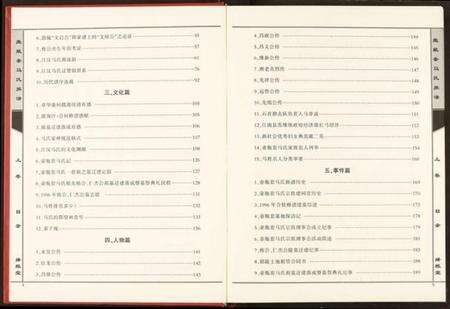 湖南马氏族谱-江汉马氏统谱贵公宗谱壶瓶套支谱.pdf电子版预览图5