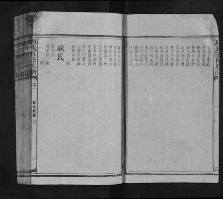 湖南马氏族谱-马氏五修族谱.pdf电子版预览图2