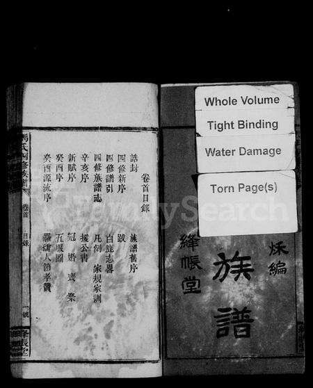 湖南马氏族谱-马氏四修族谱 [9卷,首1卷].pdf电子版预览图3