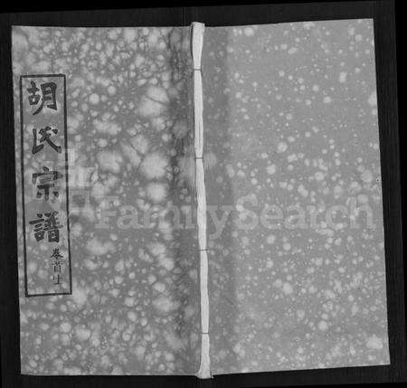 湖北胡氏族谱-胡氏宗谱 [9卷,首4卷].pdf电子版缩略图