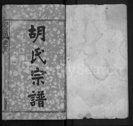 湖北胡氏族谱-胡氏宗谱 [9卷,首4卷].pdf电子版预览图1