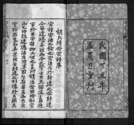 湖北胡氏族谱-胡氏宗谱 [9卷,首4卷].pdf电子版预览图2