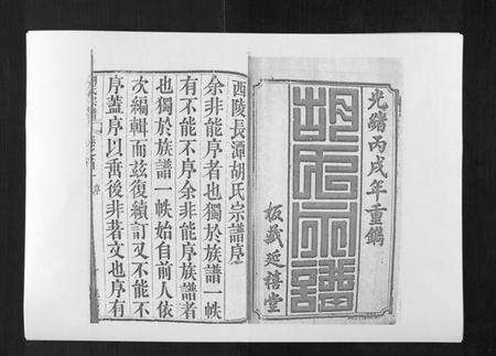 湖北胡氏族谱-胡氏宗谱[8卷首2卷].pdf电子版预览图1