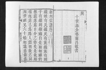 湖北胡氏族谱-胡氏宗谱[8卷首2卷].pdf电子版预览图4