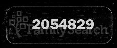 湖北胡氏族谱-鄂澴青石桥胡氏宗谱.pdf电子版缩略图