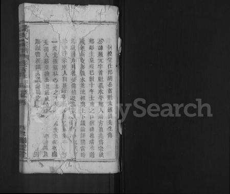 湖北胡氏族谱-胡氏宗谱 [44卷,首8卷].pdf电子版预览图1