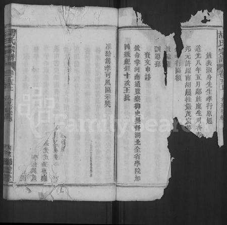 湖北胡氏族谱-胡氏宗谱 [44卷,首8卷].pdf电子版预览图4