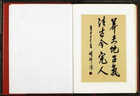 湖北湖氏族谱-中华胡姓通谱.pdf电子版预览图2