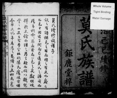 湖南莫氏族谱-莫氏续修族谱 [6卷,首1卷].pdf电子版预览图3