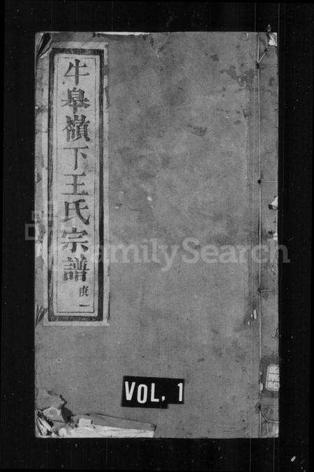 浙江王氏族谱-牛皋岭下王氏宗谱.pdf电子版预览图1