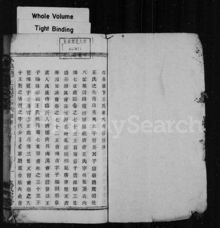 浙江王氏族谱-牛皋岭下王氏宗谱.pdf电子版预览图2