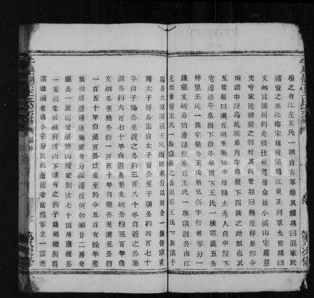 浙江王氏族谱-牛皋岭下王氏宗谱.pdf电子版预览图3