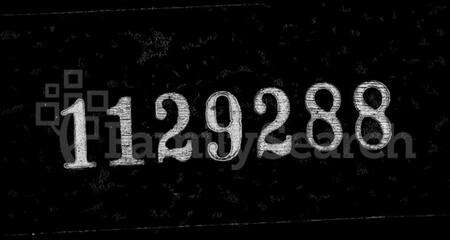 江苏许氏族谱-暨阳许氏宗谱 [11卷].pdf电子版缩略图