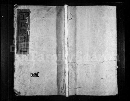 浙江王氏族谱-王氏宗谱.pdf电子版预览图1