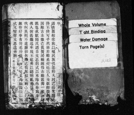 湖南欧阳氏族谱-宁乡欧阳氏铭鏸镛锺谱 [37卷,及卷首].pdf电子版预览图2