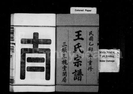 浙江王氏族谱-王氏宗谱 [6卷,首末各1卷].pdf电子版预览图2