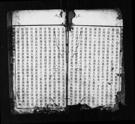 湖南欧阳氏族谱-宁乡欧阳氏铭鏸镛锺谱 [37卷,及卷首].pdf电子版预览图4