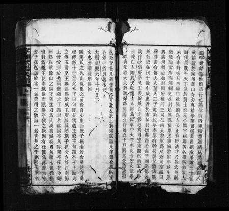 湖南欧阳氏族谱-宁乡欧阳氏铭鏸镛锺谱 [37卷,及卷首].pdf电子版预览图5