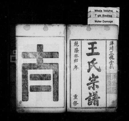 浙江王氏族谱-王氏宗谱 [6卷].pdf电子版预览图2