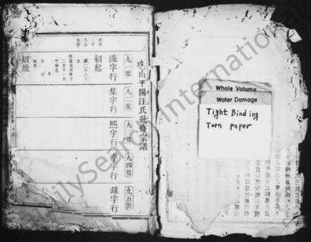 浙江汪氏族谱-珠山汪氏宗谱.pdf电子版预览图2