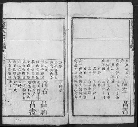 湖北华氏族谱-武陵华氏九修宗谱.pdf电子版预览图3