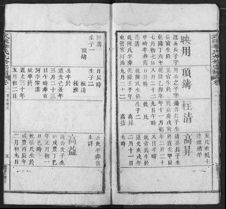 湖北华氏族谱-武陵华氏九修宗谱.pdf电子版预览图5