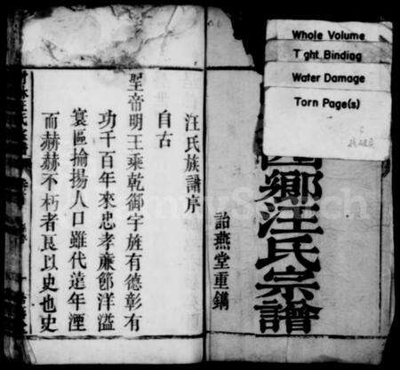 浙江汪氏族谱-皖桐乡汪氏宗谱 [卷数杂异].pdf电子版预览图3