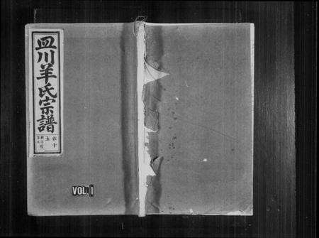 浙江羊氏族谱-皿川羊氏宗谱 [残卷].pdf电子版预览图1