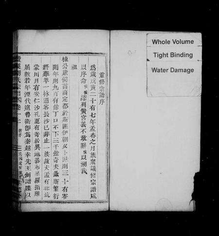 浙江胡氏族谱-盘溪胡氏宗谱 [14卷,及卷末].pdf电子版预览图2