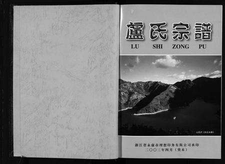 浙江卢氏族谱-卢氏宗谱.pdf电子版预览图2