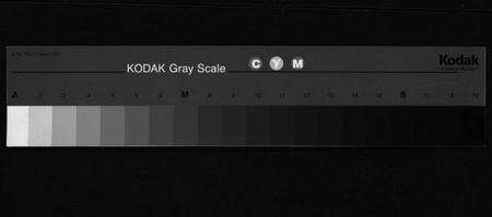 浙江卢氏族谱-卢氏宗谱 [12卷].pdf电子版缩略图