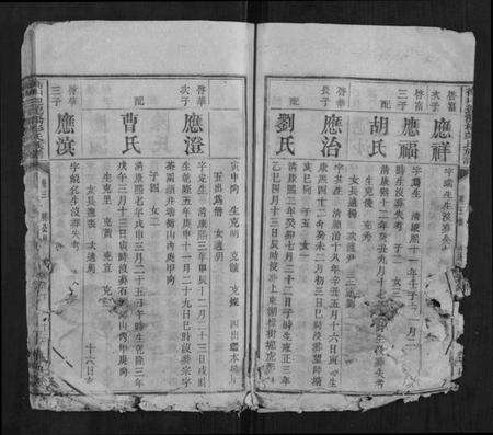 湖南彭氏族谱-衡山迎龙桥彭氏族谱.pdf电子版预览图3